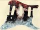 Fire Water Exposed - Vintera '60s Strat