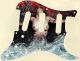 Fire Water Exposed - Vintera '50s Strat