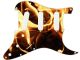 Fire 2
