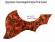Epiphone Acoustic - Firey Tortoise Pickguard