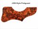Gibson J-200 Acoustic - Firey Tortoise Pickguard