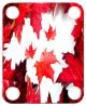 Canadian Patriot 1