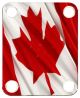 Canadian Patriot 3