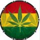 Rasta 1