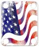 US Abstract