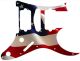 US Patriot