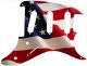 US Patriot