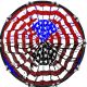 USA Abstract