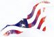 Flag US Abstract