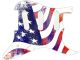 Flag US Abstract
