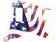 Flag US Abstract