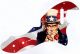 Flag US Patriot 4
