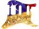 Flag US Patriot Constitution