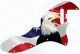 Flag US Patriot Eagle 2