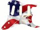 Flag US Patriot Eagle 2