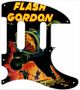 Flash - Tele Nashville
