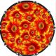 Flower Power 2