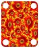 Flower Power 2