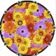 Flower Power