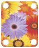Flower Power