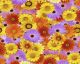 Flower Power