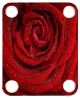 Rose Wet