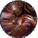 Fractal 6