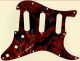 Fractal Blood - SSS Hendrix Voodoo Strat