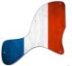 France 1