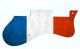 France 1