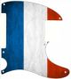 France 1 - Avril Lavigne Tele