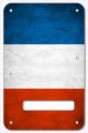 France 1