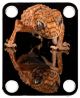 Gecko 1