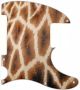 Giraffe - Avril Lavigne Tele