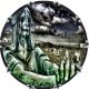 Graveyard Statue