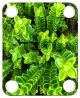 Green Growth 1