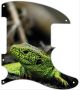 Green Lizard