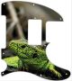 Green Lizard