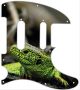 Green Lizard