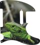Green Lizard