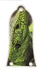Green Lizard