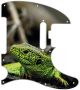 Green Lizard - American Elite Tele