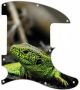 Green Lizard - Avril Lavigne Tele
