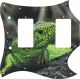 Green Lizard