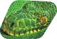 Green Snake