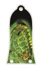 Green Snake