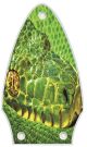 Green Snake