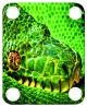 Green Snake