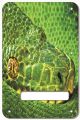 Green Snake
