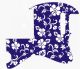 Hawaiian Print Blue